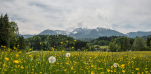 Eén met de natuur in Oostenrijk